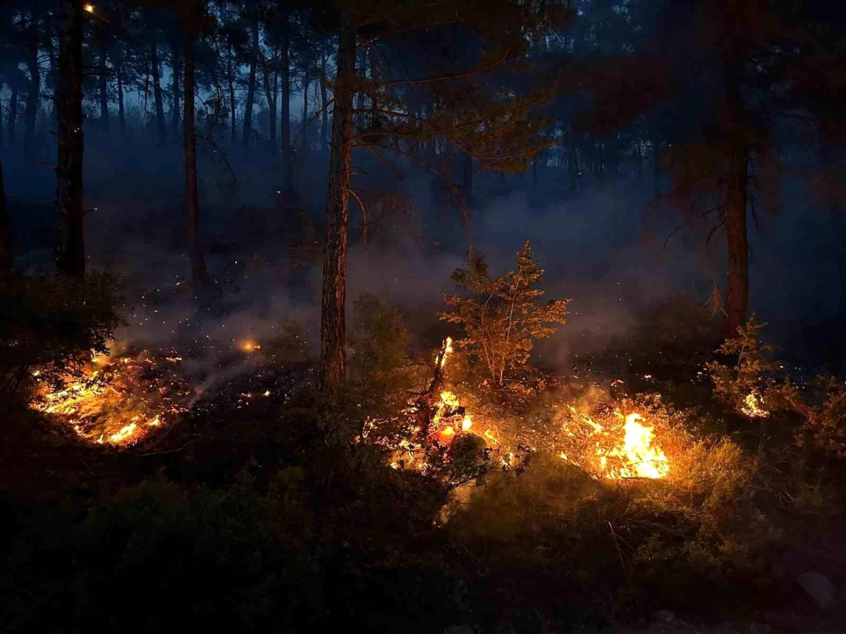 Uşak’ta Orman Yangını: Karadan Müdahale Devam Ediyor